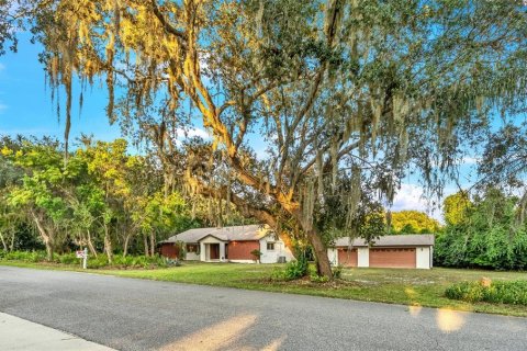 Villa ou maison à DeBary, Floride 2 chambres, 173.91 m2 № 2399556