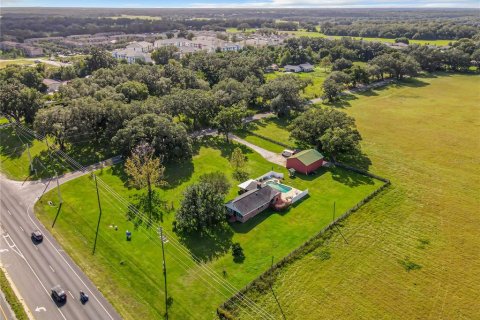 Land in Oxford, Florida № 225915 - photo 11