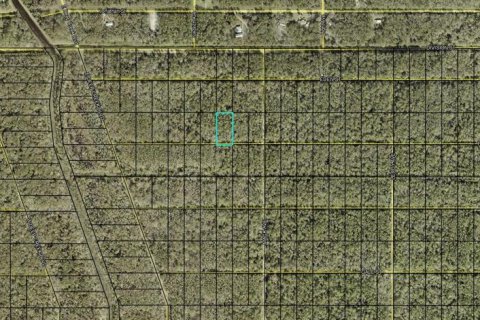 Land in Hastings, Florida № 2161590