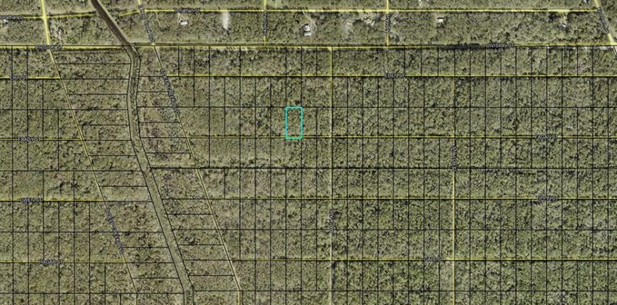 Land in Hastings, Florida № 2161590