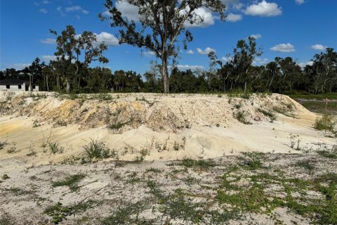 Land in Port Charlotte, Florida № 2164507