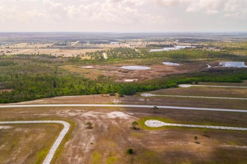 Land in Placida, Florida № 2159349 - photo 4