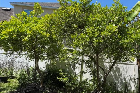 Купить виллу или дом в Киссимми, Флорида 10 комнат, 185.8м2, № 2148907 - фото 28