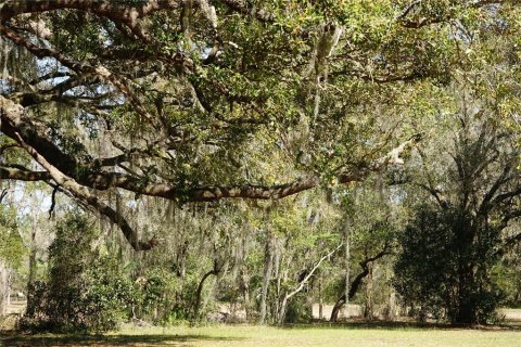 Land in Land O' Lakes, Florida № 1765725 - photo 13