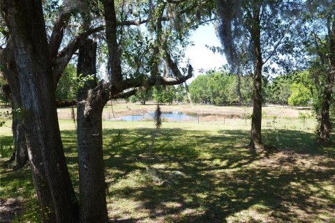 Land in Land O' Lakes, Florida № 1765725 - photo 8