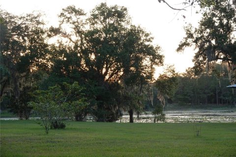 Land in Land O' Lakes, Florida № 1765725 - photo 3
