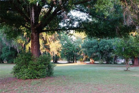 Land in Land O' Lakes, Florida № 1765725 - photo 14