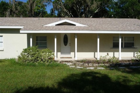 Land in Land O' Lakes, Florida № 1765725 - photo 5