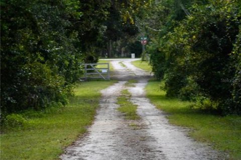Land in Land O' Lakes, Florida № 1765725 - photo 4