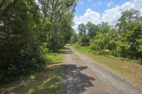Land in Land O' Lakes, Florida № 1765725 - photo 30