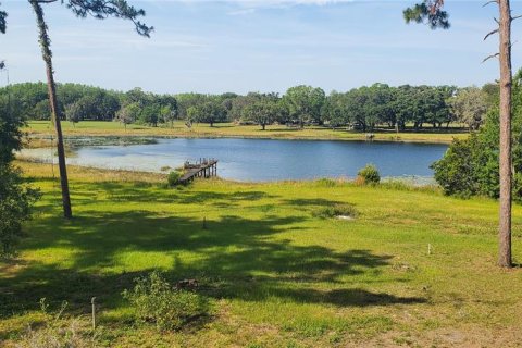 Propiedad comercial en alquiler en Land O' Lakes, Florida, 226.87 m2 № 1390710 - foto 2