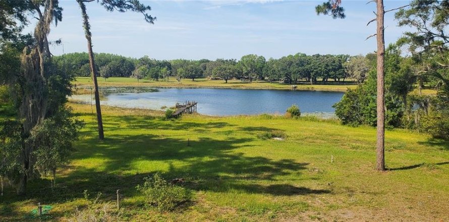 Propiedad comercial en Land O' Lakes, Florida 226.87 m2 № 1390710
