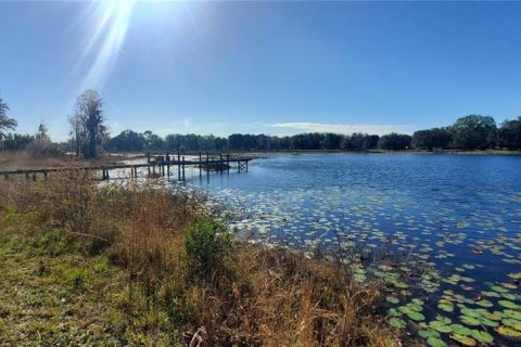 Propiedad comercial en alquiler en Land O' Lakes, Florida, 226.87 m2 № 1390710 - foto 12