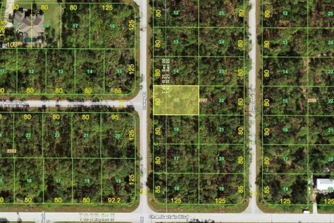 Land in Port Charlotte, Florida № 2161342 - photo 2