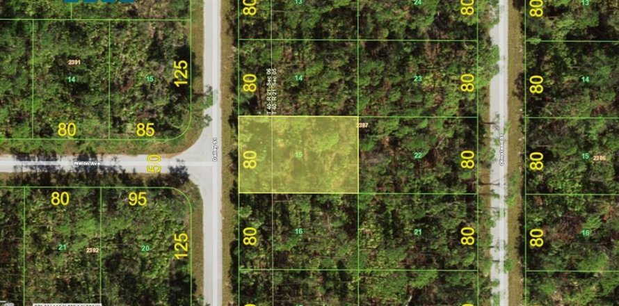 Land in Port Charlotte, Florida № 2161342