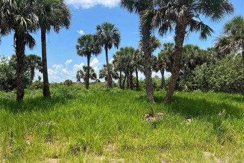 Land in Palm Bay, Florida № 2228682