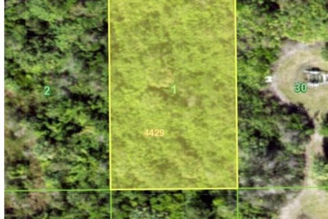 Land in Port Charlotte, Florida № 2228726 - photo 2