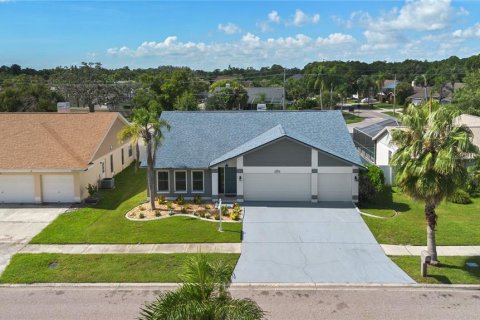 Casa en venta en Tampa, Florida, 3 dormitorios, 189.43 m2 № 2308918 - foto 3