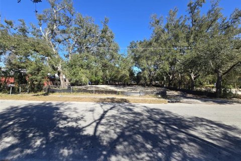Terreno en Tampa, Florida № 2118216
