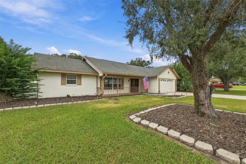 Villa ou maison à vendre à Valrico, Floride: 4 chambres, 179.3 m2 № 2399422 - photo 3