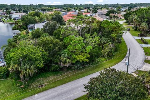 Terrain à Palm Coast, Floride № 2308643