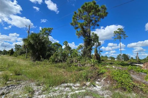 Terreno en venta en Lehigh Acres, Florida № 2164405 - foto 6