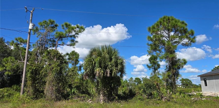 Terreno en Lehigh Acres, Florida № 2164405