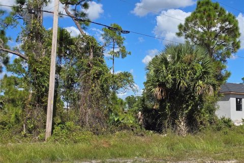 Terreno en venta en Lehigh Acres, Florida № 2164405 - foto 2