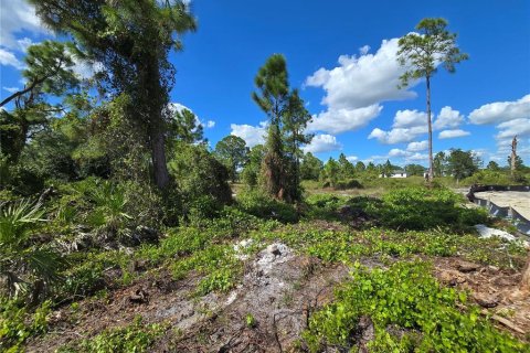Terreno en venta en Lehigh Acres, Florida № 2164405 - foto 7