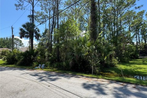 Terreno en venta en Palm Coast, Florida № 1884971 - foto 2