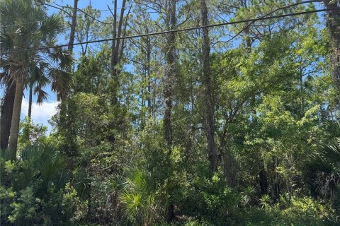 Terreno en venta en Palm Coast, Florida № 1884971 - foto 5