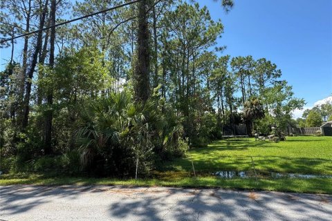 Terreno en venta en Palm Coast, Florida № 1884971 - foto 3