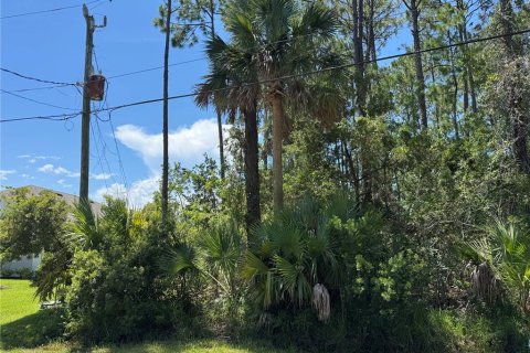 Terreno en venta en Palm Coast, Florida № 1884971 - foto 1