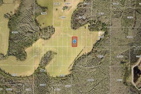 Land in Clermont, Florida № 2163902 - photo 5