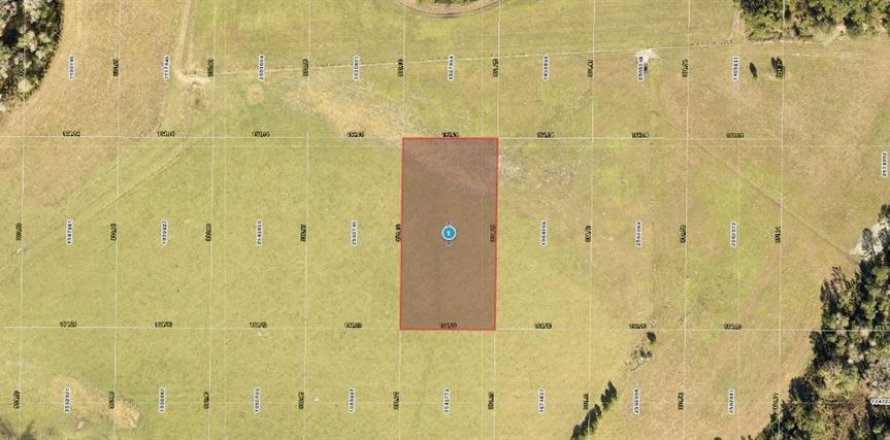 Land in Clermont, Florida № 2163902