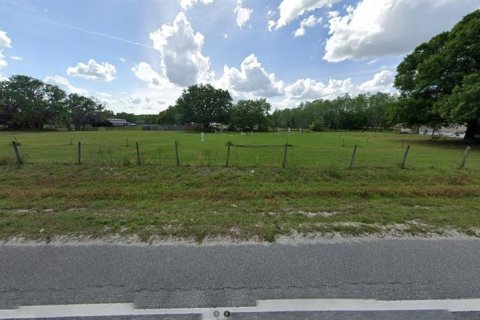 Land in Clermont, Florida № 2163902 - photo 7