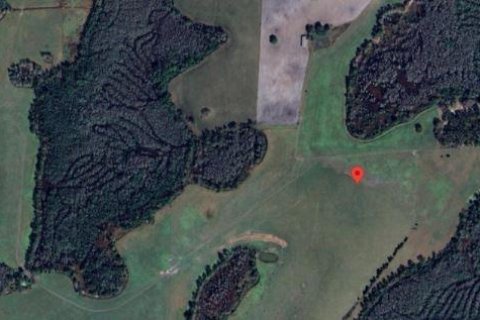 Land in Clermont, Florida № 2163902 - photo 2