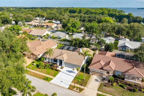 Casa en venta en Palm Harbor, Florida, 4 dormitorios, 240.62 m2 № 2230962 - foto 9