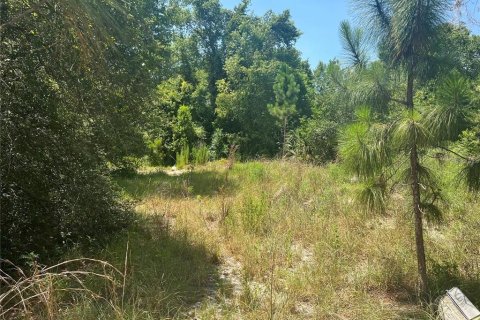 Land in Eustis, Florida № 2163518