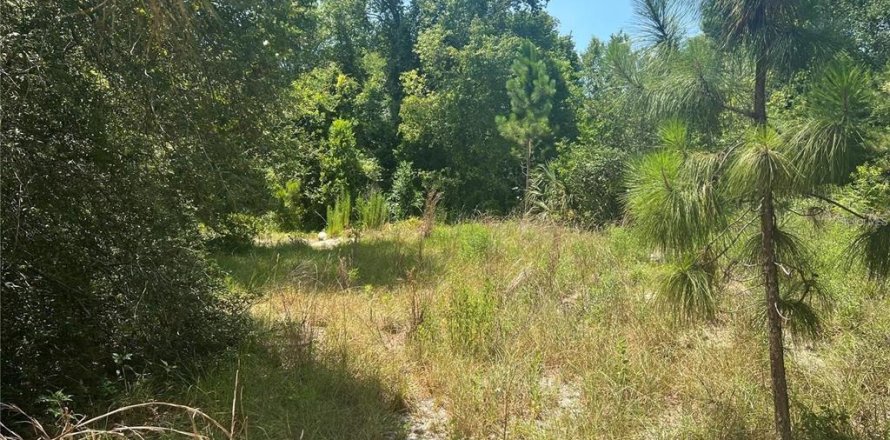 Land in Eustis, Florida № 2163518