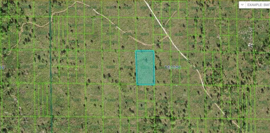 Land in Lake Wales, Florida № 2163763
