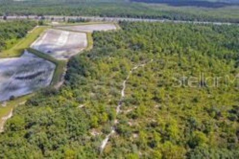 Terreno en venta en Orlando, Florida № 1082187 - foto 6