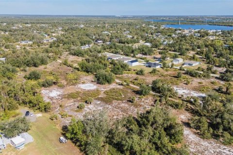 Terrain à vendre à Punta Gorda, Floride № 2232673 - photo 29