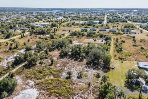 Terrain à vendre à Punta Gorda, Floride № 2232673 - photo 20