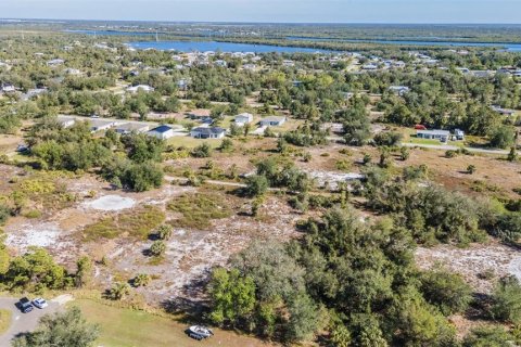 Terrain à vendre à Punta Gorda, Floride № 2232673 - photo 27