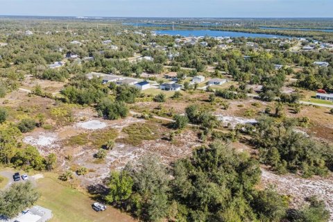 Terrain à vendre à Punta Gorda, Floride № 2232673 - photo 28