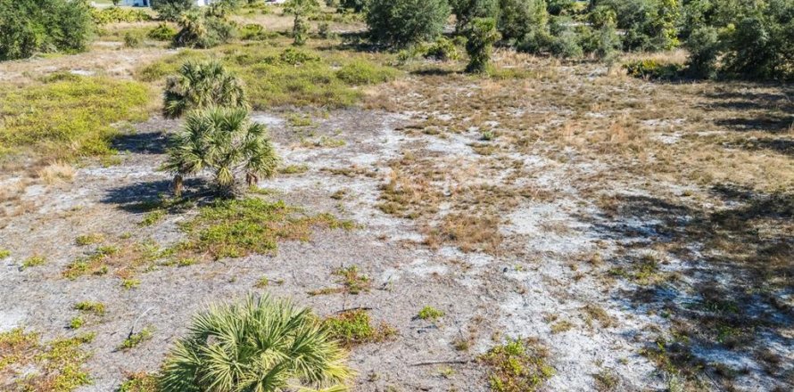 Terrain à Punta Gorda, Floride № 2232673
