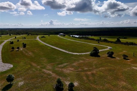 Land in Placida, Florida № 2221228 - photo 5