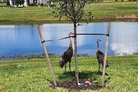 Casa en alquiler en Nokomis, Florida, 4 dormitorios, 156.73 m2 № 1849955 - foto 27