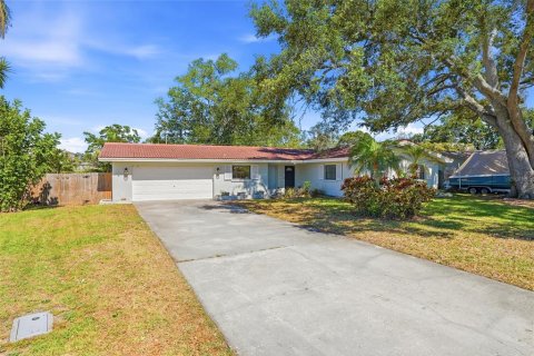 Villa ou maison à Clearwater, Floride 3 chambres, 170.01 m2 № 2101497